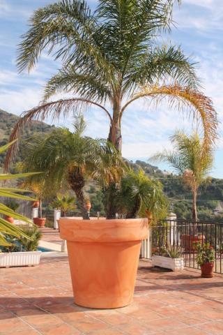Villa El Nido ネルハ エクステリア 写真
